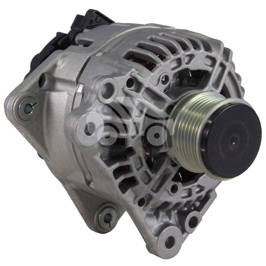 ALB4019